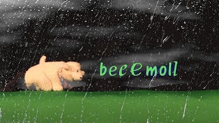 Beeemoll【Vídeo·Clip·Petit·✿】 [upl. by Hsihsa]