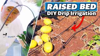 How to Install Drip Irrigation for Raised Beds Complete DIY System Guide [upl. by Enogitna]