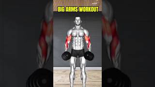 Arms Workout At Gym  Best Exercises For Big Arms  WeGoGym  armsexercisesarmsworkoutfitness [upl. by Marjy]