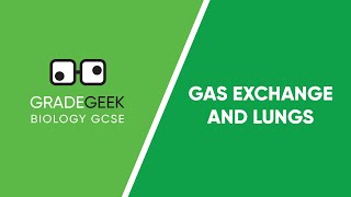 Understanding Gas Exchange and the Lungs  GCSE Biology Revision [upl. by Rogerio]