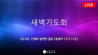 2024년 11월 01일금 사랑교회 새벽기도회 【LIVE】 [upl. by Carli]