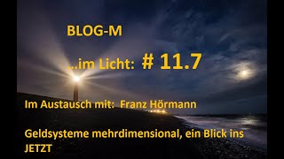 Blog M Im Licht 11 7 [upl. by Aicirtal]