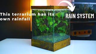 i made a terrarium rain garden in a glass tank  rainfall paludarium [upl. by Bibbie]