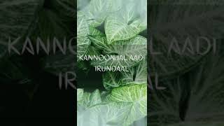 Kannoonjal Aadi Irundhal  Lyrics  shorts [upl. by Abita]