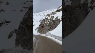 Riding high on the world’s highest road 🚵‍♂️ KhardungLa BikingLife AdventureSeeker backpacking [upl. by Einitsed]