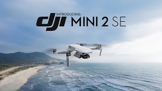 Just Announced DJI Mini 2 SE  Make Your Moments Fly [upl. by Sheedy]