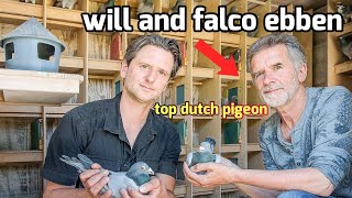 Top Dutch Racing Pigeons from Will amp Falco Ebben  Herbots Auction Spotlight [upl. by Kalila]