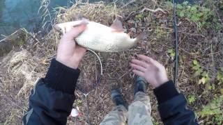 Ribolov na Nisavi  pecanje skobalja i klena  GoPro HD fishing [upl. by Blaise285]