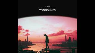 Wondering By Tim [upl. by Devy]