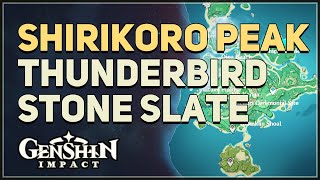 Shirikoro Peak Thunderbird Stone Slate Puzzles Genshin Impact [upl. by Philips]