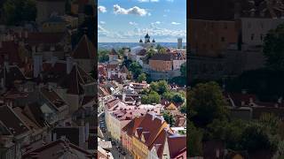 Climbing to the top of the tallest building in Tallinn — St Olaf’s Church 🌟 [upl. by Annawat618]