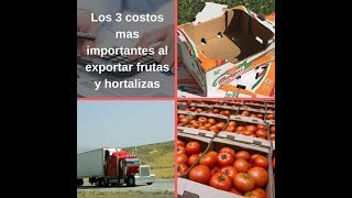 Los 3 costos mas importantes en la exportación de frutas y hortalizas [upl. by Altman]