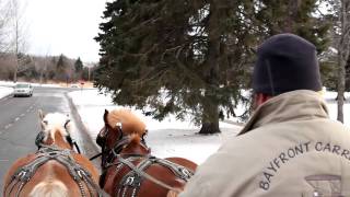 Outdoor Winter Carnival  Centennial Kickoff  St Scholastica [upl. by Kcim]