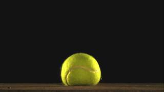 The Beauty of Slow Motion  Tennis Ball Bounce [upl. by Inkster475]