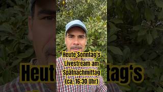 Info Heute Community Livestream am Spätnachmittag [upl. by Annayek81]