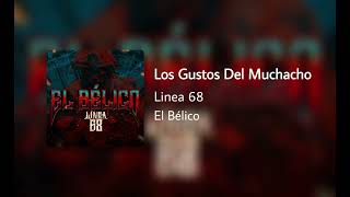 Los Gustos Del Muchacho Linea68 Corridos 2024 [upl. by Alurd]