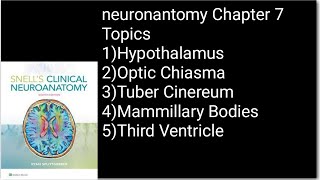 Neuronantomy Chapter 7HypothalamusOptic ChiasmaTuber CinereumMammillary Bodiesneuroanatomy [upl. by Duky]