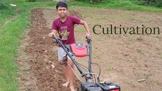 kids vlog cultivation [upl. by Dnaletak]