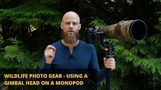 Wildlife Photography Gear  Using a Gimbal Head on a Monopod 2020 [upl. by Neirda747]