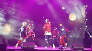 LUCENTE  FALLING PETALS fancam [upl. by Nylauqcaj812]