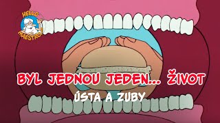 Byl jednou jeden život 🌱 Ústa a zuby 🦷 [upl. by Suoivatra373]