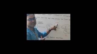 SSCHSC Biology 2nd Online Class quotCell Divisionquot এর গুরুত্বপূর্ণ টপিক quotAmitosis Cell Divisionquot [upl. by Verdie]