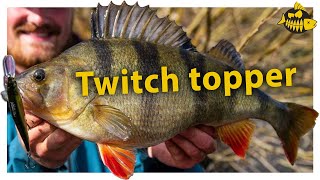 Zo vis je met de Oneten twitchbait van Megabass op grote baars [upl. by Cirala796]