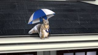 LeafGuard Gutter Squirrel Commercial for 2013 Season [upl. by Enoek]