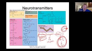 Neurotransmitters Glutamate GABA Dopamine Serotonin Norepinephrine epinephrine Substance P [upl. by Paresh]