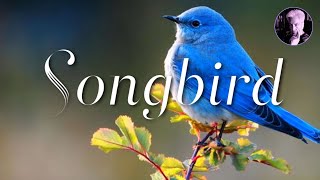 Songbird  Eva Cassidy Karaoke No vocals Key of A [upl. by Leamsi]