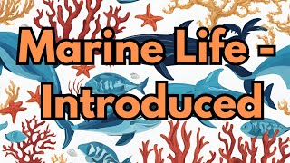 Marine Life  Introduced [upl. by Madelin]