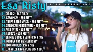 FULL ALBUM ESA RISTY TERBARU 2021  CIDRO 2 [upl. by Auqenwahs388]