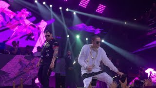 BABY RASTA amp GRINGO En Vivo  Sala Premium DO  16022018 CHILE [upl. by Alvita]