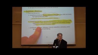 PHARMACOLOGY NARCOTIC ANALGESICS by Professor Fink [upl. by Droflim]