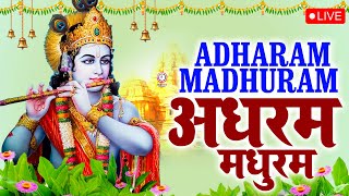 Adharam Madhuram  Hey Krishn Tere Hoth Madhur  Janmashtami Bhajan Hindi Version [upl. by Idmann]