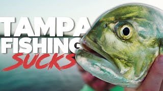 Tampa Fishing Sucks [upl. by Annahsed]