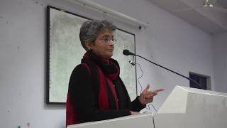 Prof Nivedita Menon on Feminism Nationalism and War [upl. by Aseefan]