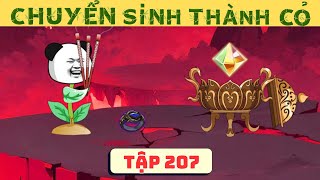 Chuyển Sinh Thành Cỏ  Tập 207 [upl. by Yonatan]