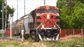 Ferromex Ferrocarriles Mexicanos en Guadalajara Jalisco 2014  México [upl. by Oidivo]