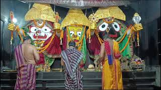 ଆଜି 📅 13Oct2024  🙏 Sandhya Aarti Darshan Jagannath Puri [upl. by Isleana]