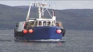 Trawling and Tubing Live Nephrops Prawns [upl. by Drarig]