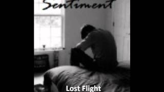 Lost Flight  Sentiment [upl. by Oigaib]