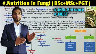 Nutrition in Fungi  Classification of Fungi on the Basis of Nutrition  BSc  MSc  PGT Biology [upl. by Janene9]