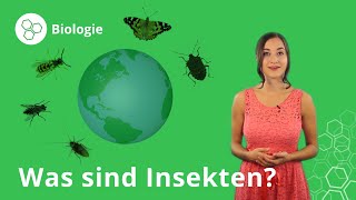 Insekten Eigenschaften Körperbau Fortpflanzung – Biologie  Duden Learnattack [upl. by Janean]