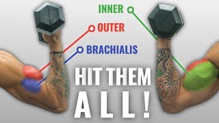 The Best ScienceBased DUMBBELL Biceps Exercises For Size And Shape [upl. by Elatia]