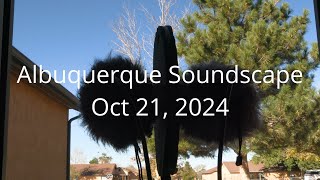 Albuquerque Sounds  Field Recording Jecklin Disk Sennheiser MKH 20  Zoom F3 Canon Vixia HF G70 [upl. by Henderson783]