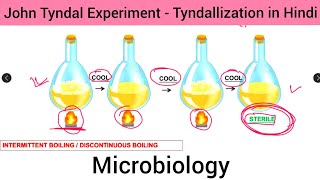 Microbiology   Tyndallization  John Tyndal Experiment in Hindi  Experiment of John Tyndal in Hin [upl. by Lynsey]