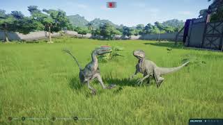 Proceratosaurus vs Velociraptor Jurassic World Evolution [upl. by Airad]