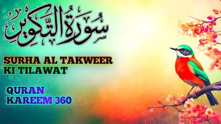 Soothing Surah Al Takweer Recitation  Calm and Beautiful  Sheikh Name  Guidance from the Quran [upl. by Ahsata]