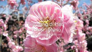 bimbang di hati Mario  POP mandarin INDONESIA [upl. by Soutor]